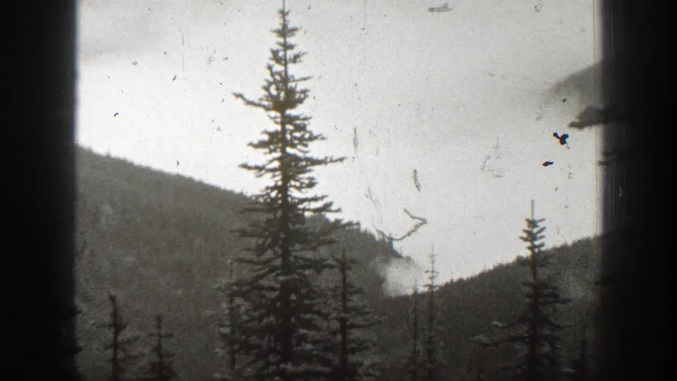 1938 California 8mm frame with conifer silhouettes, dark mountain slopes, and pale fog over a ravine.