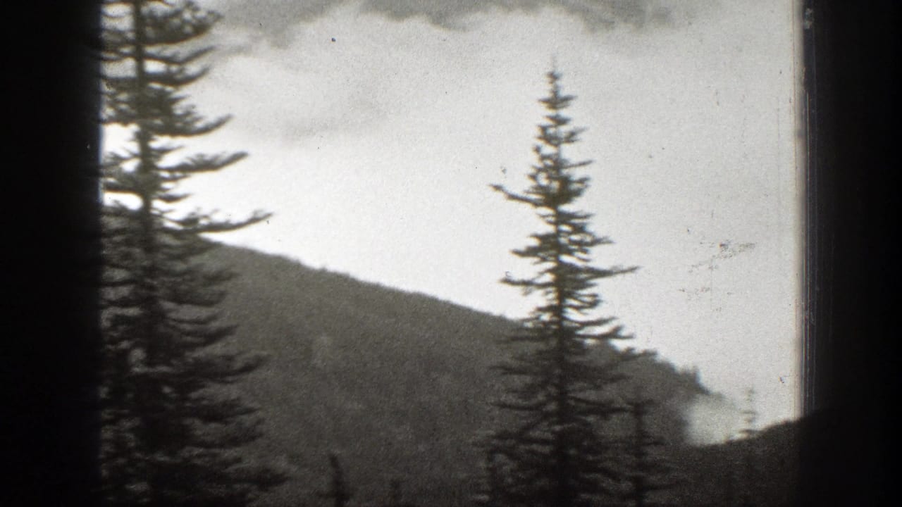 1938 California 8mm frame showing tall evergreens, layered mountain ridges, and valley mist viewed through a dark window frame.