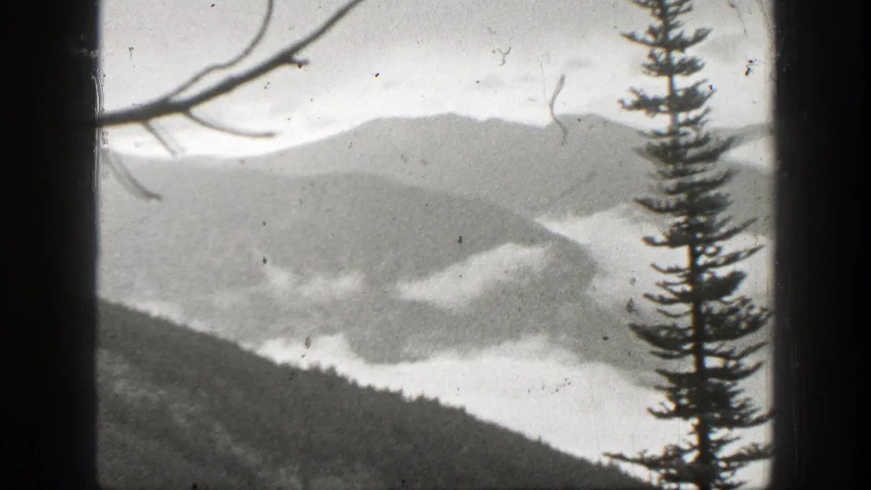 Black-and-white 1938 California landscape with distant ridges, valley fog, an evergreen at right, and bare branches near the top edge.