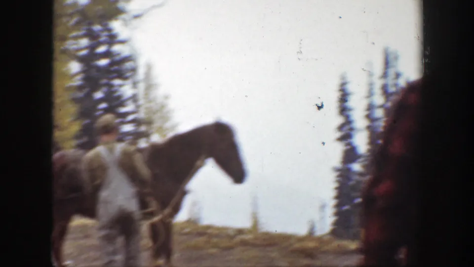 1938 California 8mm frame showing a horse with gear in a forested area, with partially visible people near the edge of the shot.