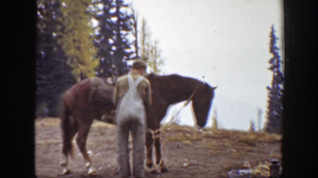 In 1938 California home-movie footage, a man in overalls faces a dark horse while preparing pack gear near evergreen trees.