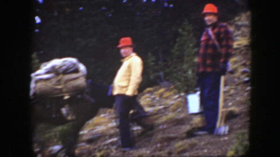 1938 California 8mm frame showing two men in red hats on a steep wooded slope while a mule with a pack passes nearby.