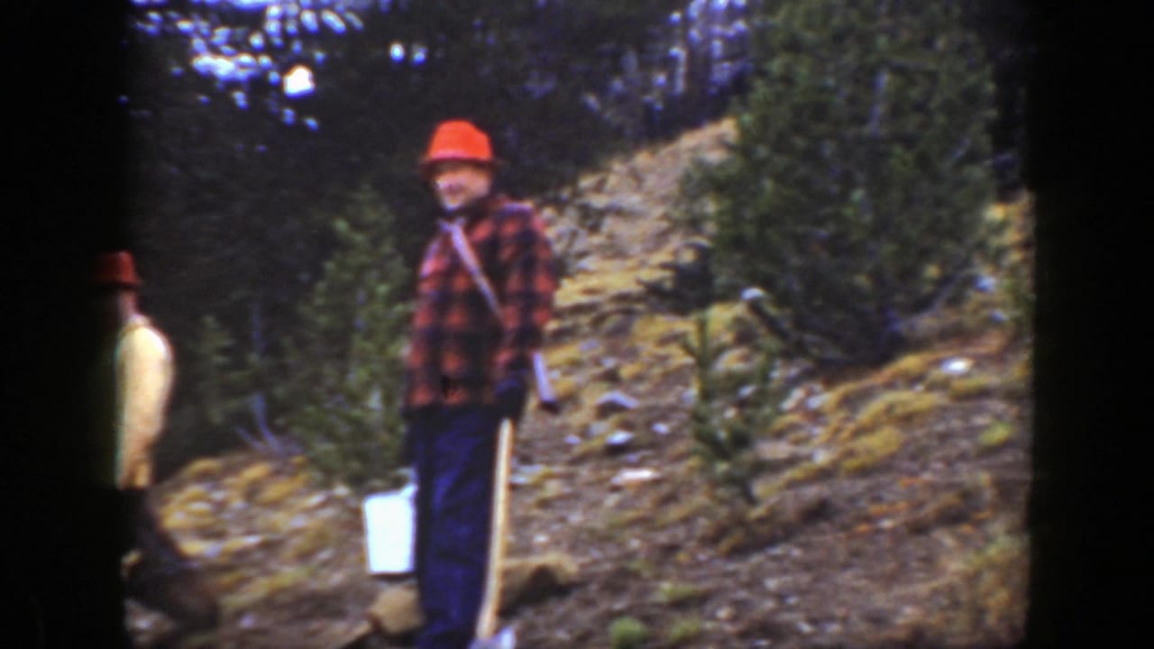 In 1938 California home-movie footage, two men in red hats stand on a sloped forest hillside with a shovel and white bucket nearby.