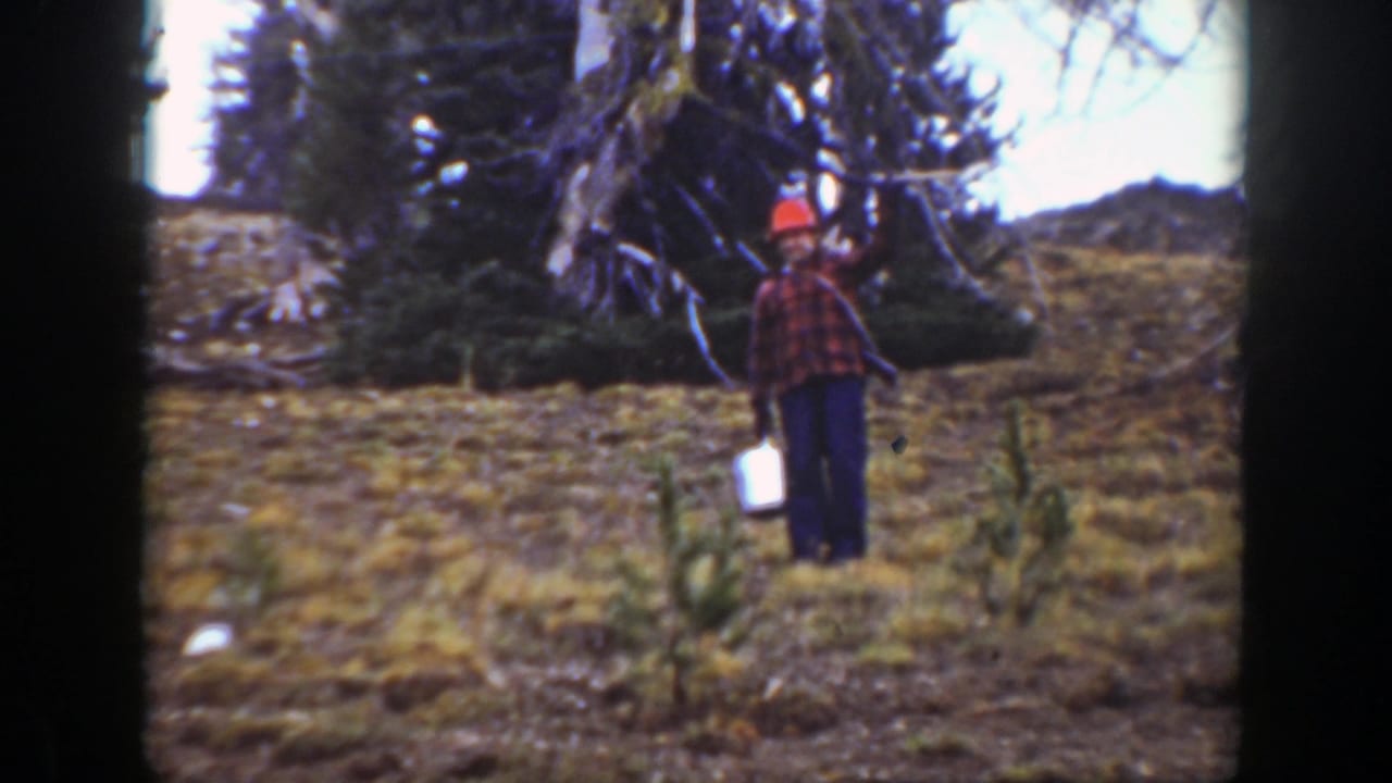 1938 California home-movie frame showing a person in a red plaid shirt and orange hat holding a bucket in a wooded clearing.