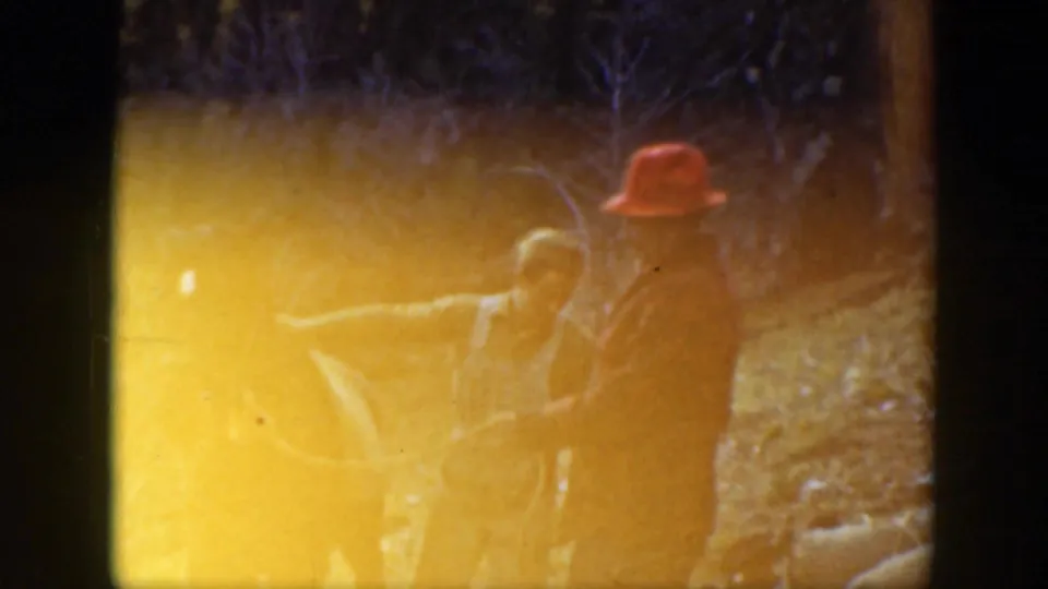 A person in an orange hat stands beside or near a horse in a wooded California scene partly obscured by yellow film flare.