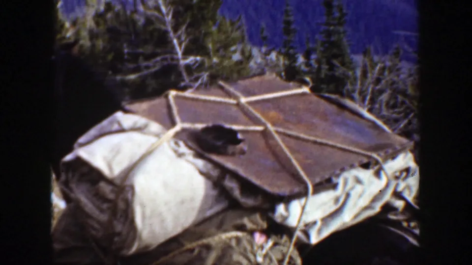 The loaded pack horse fills the frame, carrying a roped tarp bundle and pale rolled gear against a forest background.