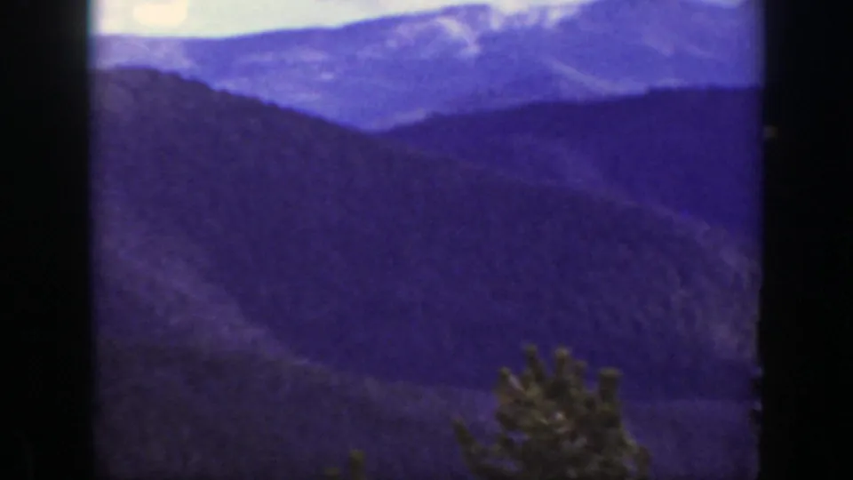 1938 California mountain vista showing distant ridges, dark wooded slopes, and a small evergreen in the foreground.
