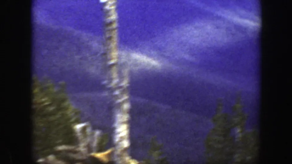 1938 California 8mm frame showing forested valley slopes, evergreen tops, and a pale vertical tree trunk during a scenic pan.