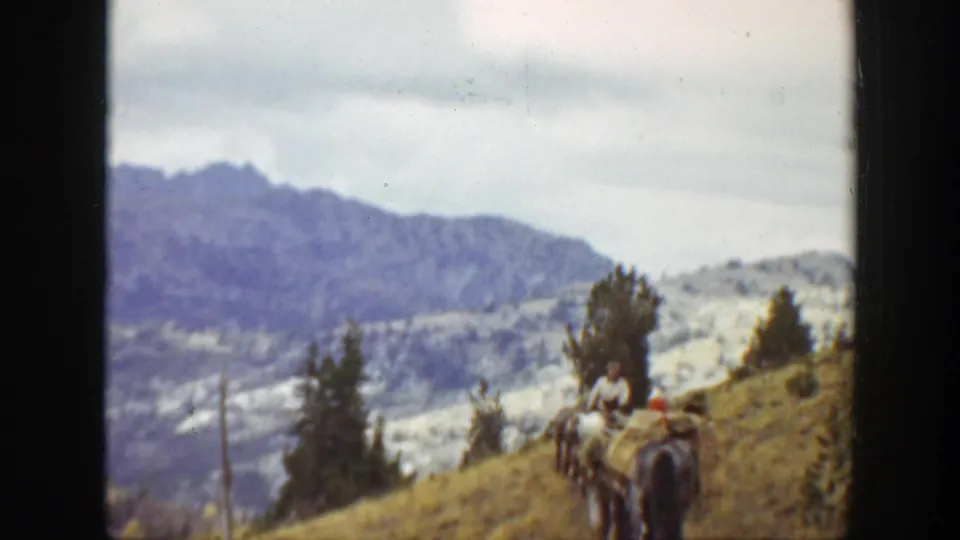 A distant rider and pack animals continue across an open mountain slope with trees and ridgelines behind them.