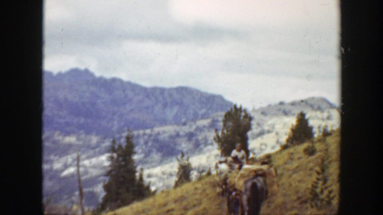 Rider on a pack animal crossing a grassy mountain slope with trees and distant peaks.