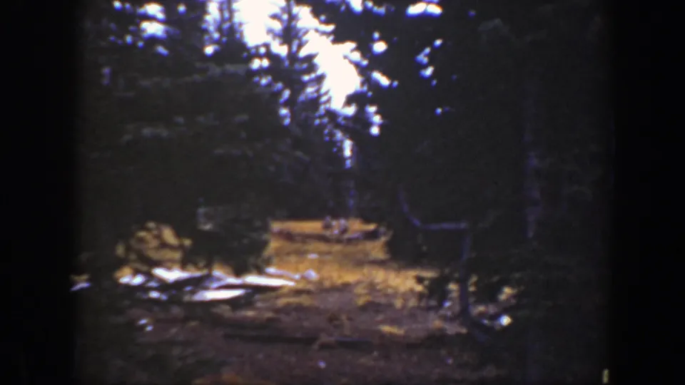 1938 8mm California forest frame showing tall trees, a lit grass patch, scattered pale rocks or logs, and possible small wildlife in deep shade.