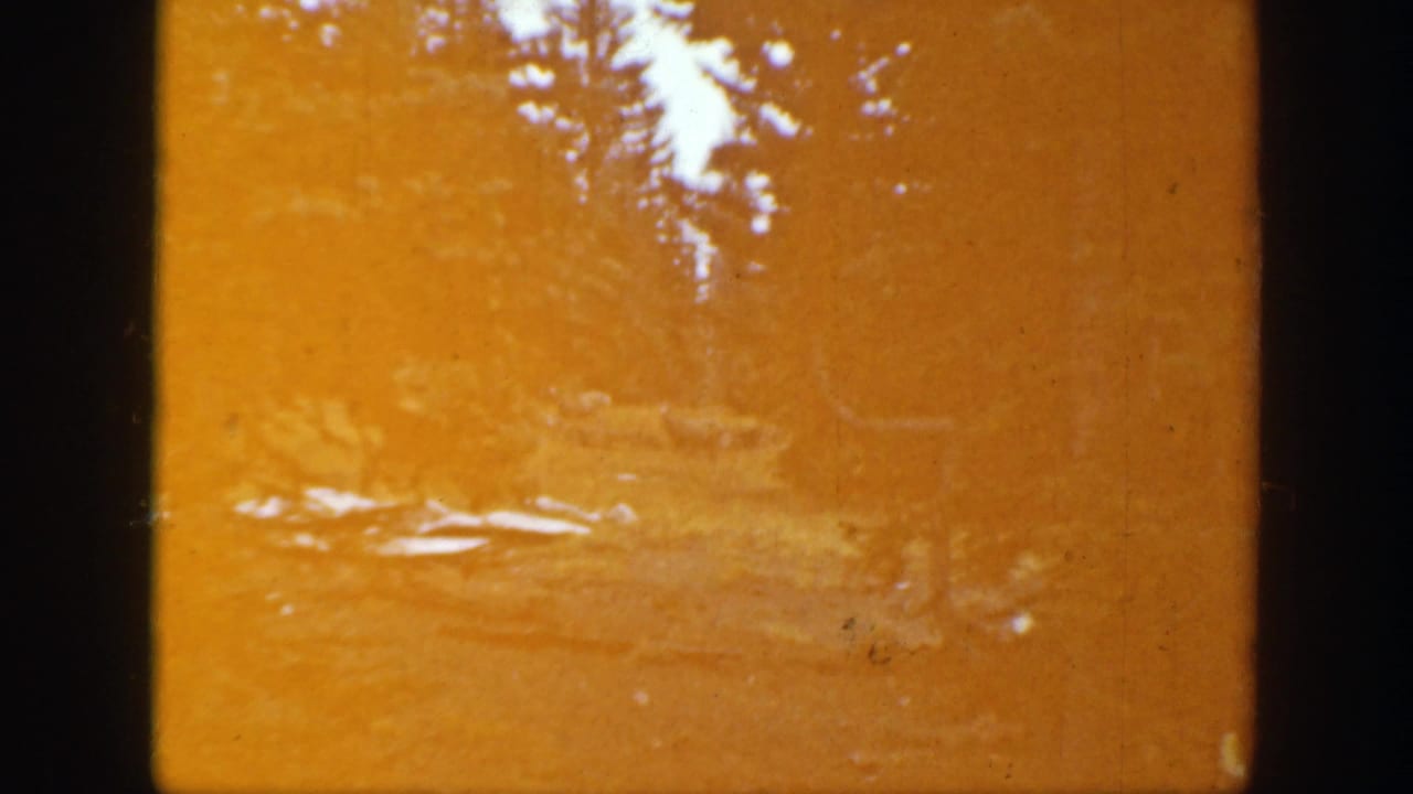 1938 California 8mm frame with overexposed orange-yellow cast, faint conifer trees, and forest floor barely visible.