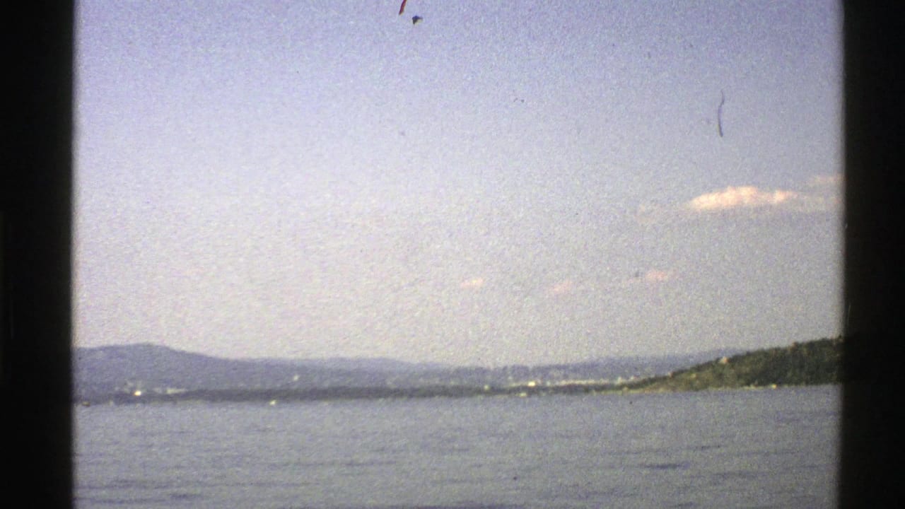Wide water view with low hills, a distant shore, and a wooded slope at the right edge.