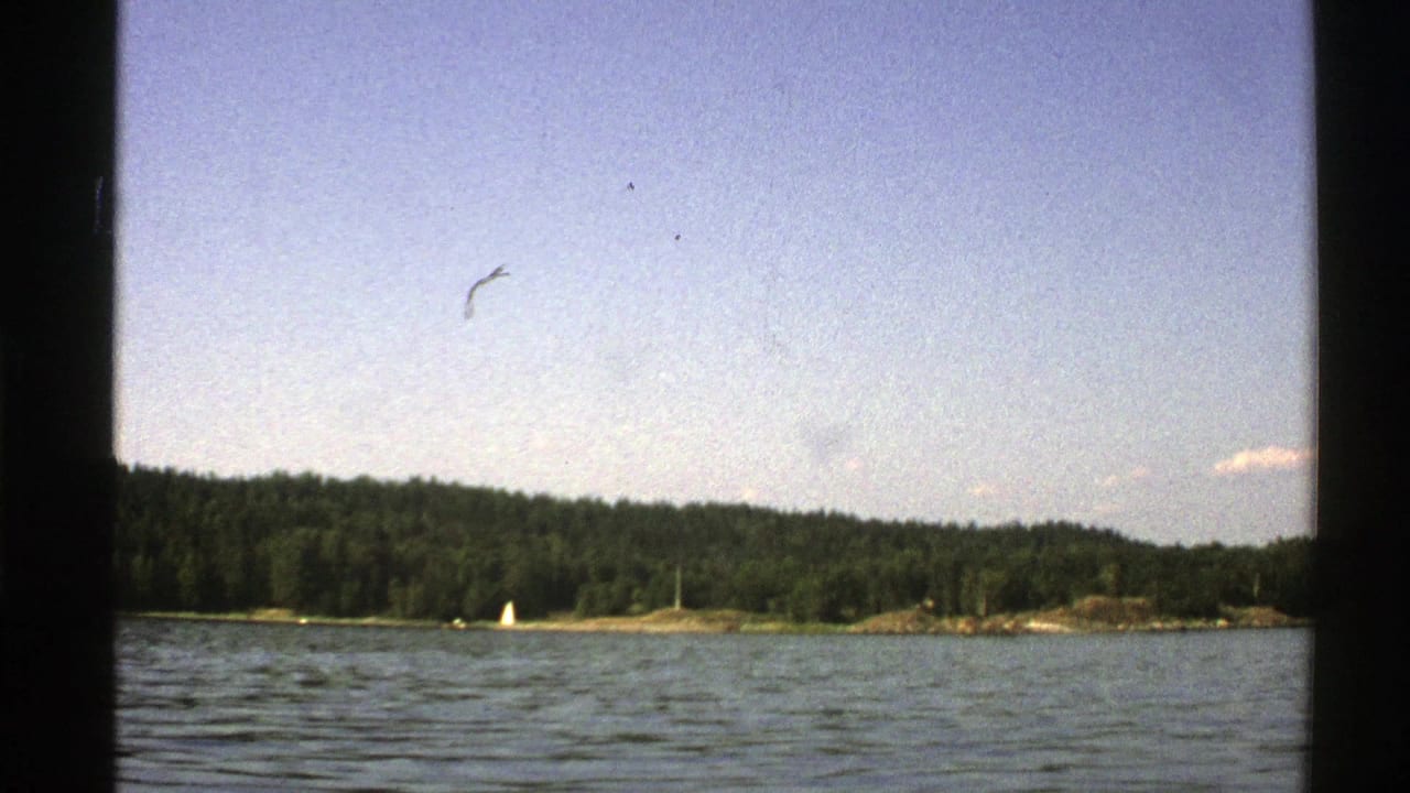 Distant wooded shoreline and white sailboat seen over rippled water under a clear sky.