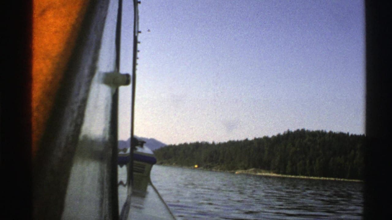 Boat-side view over calm water toward a forested shoreline under blue sky.