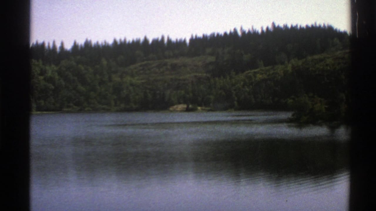 Lake bordered by forested hills under a pale sky.