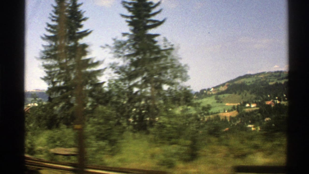 Tall conifers and a green hillside pass beside the train window.