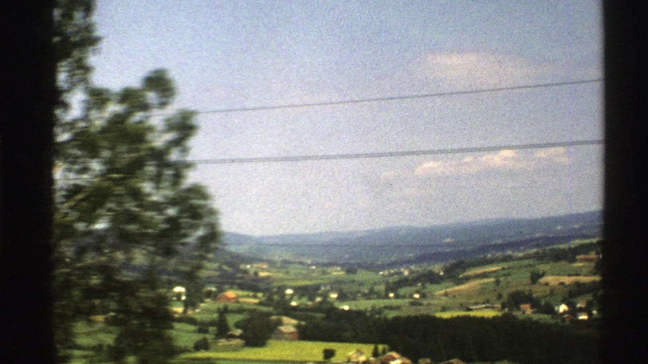A roadside tree blurs past during a 1976 Norway countryside view from a moving vehicle, with farmland and hills beyond.