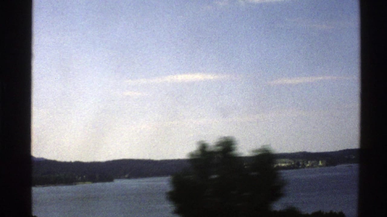 Blue water and distant mountains seen past a dark foreground tree and film-frame border.