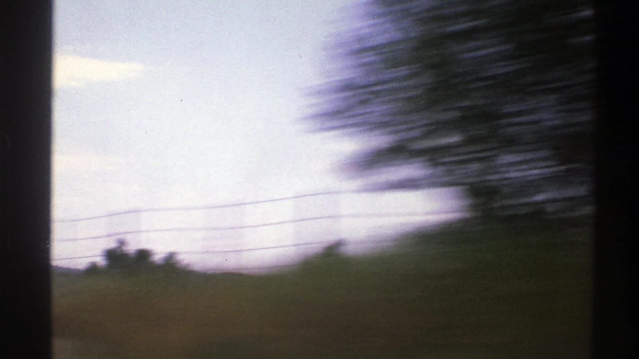 Motion-blurred trees, roadside grass, sky, and power lines from a moving car.