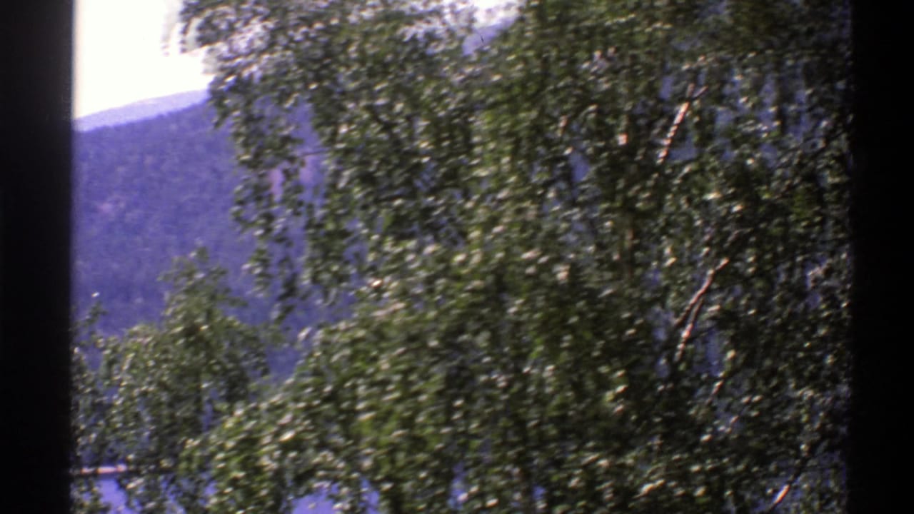 Leafy trees fill the foreground with a lake and hillside behind them.