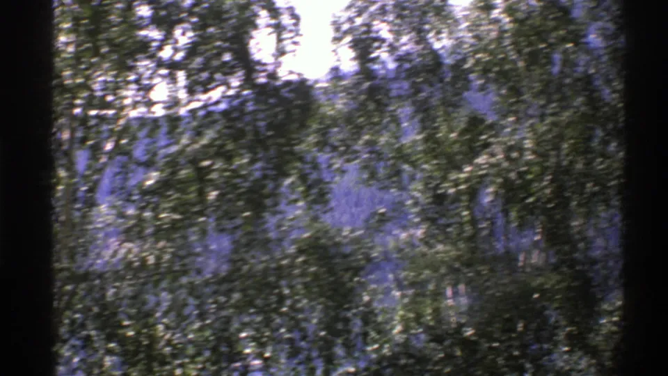 Moving 8mm frame from Norway in 1976 with leafy trees sweeping past a lake and wooded hills in the distance.