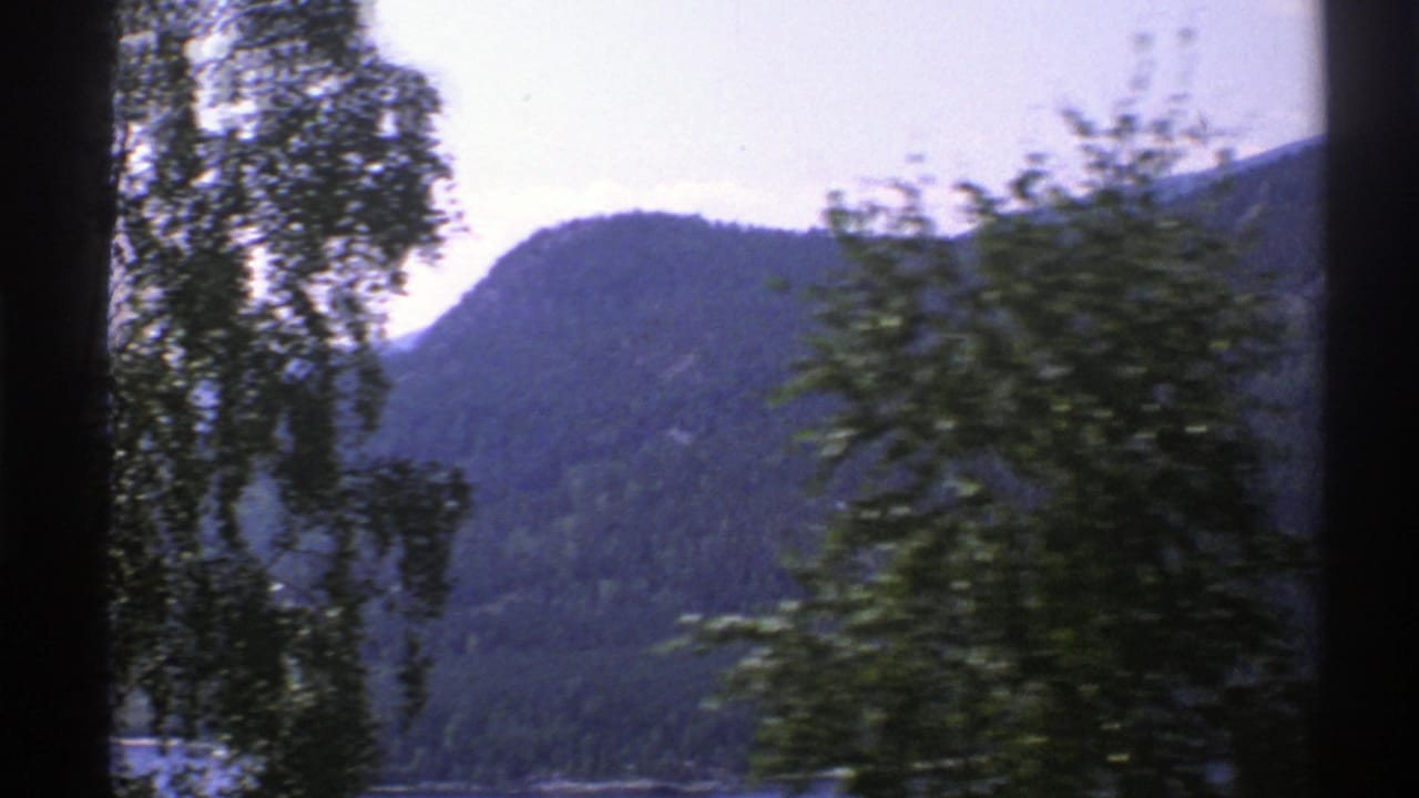 1976 Norway home-movie view of a wooded mountain and waterway partly obscured by foreground trees.