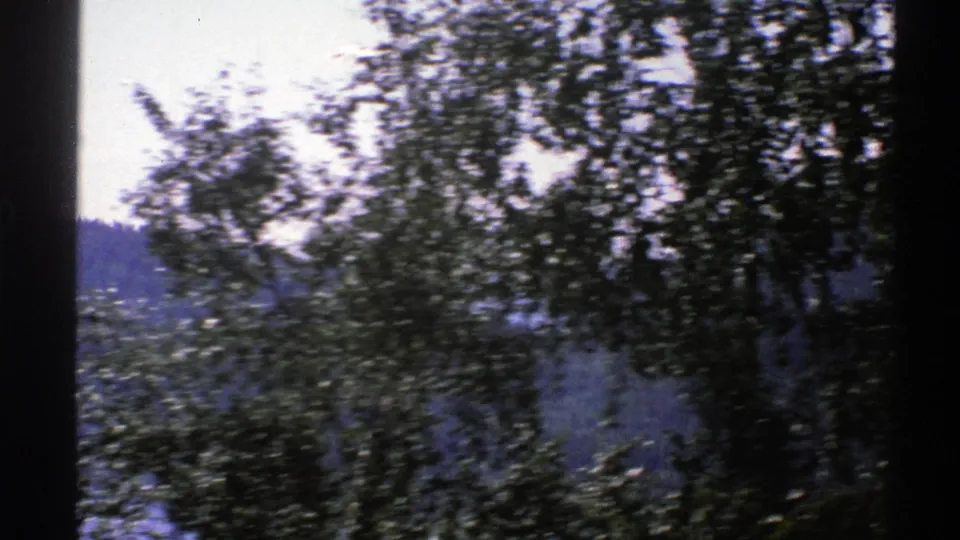 Norway countryside footage from 1976 showing dense foreground foliage with a distant hillside and waterway beyond.