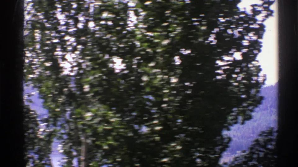 A moving 8mm view in Norway where sunlit foliage fills the frame and distant hills and water appear through gaps.