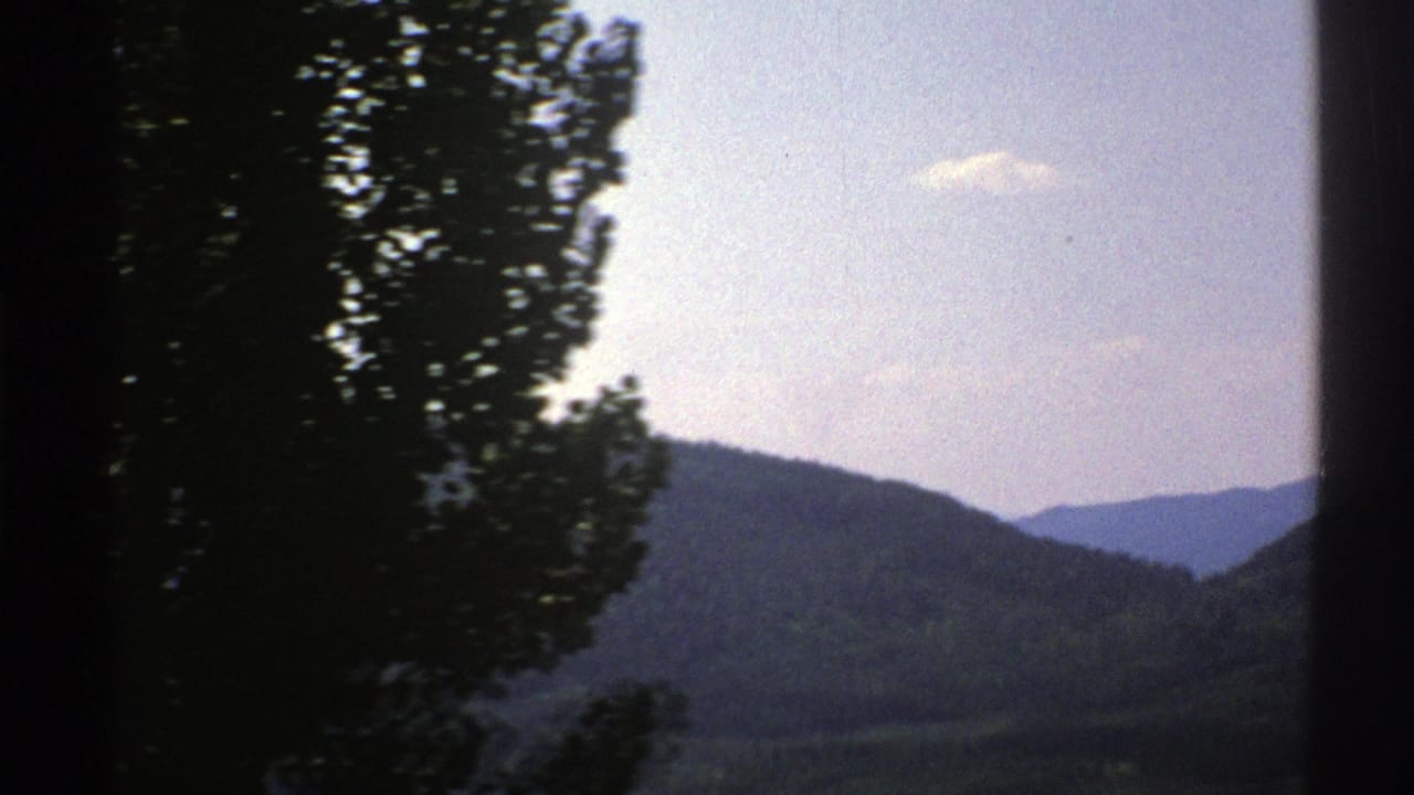 1976 Norway 8mm travel frame showing layered forested hills under a pale sky, partly obscured by a dark roadside tree and vertical edge.