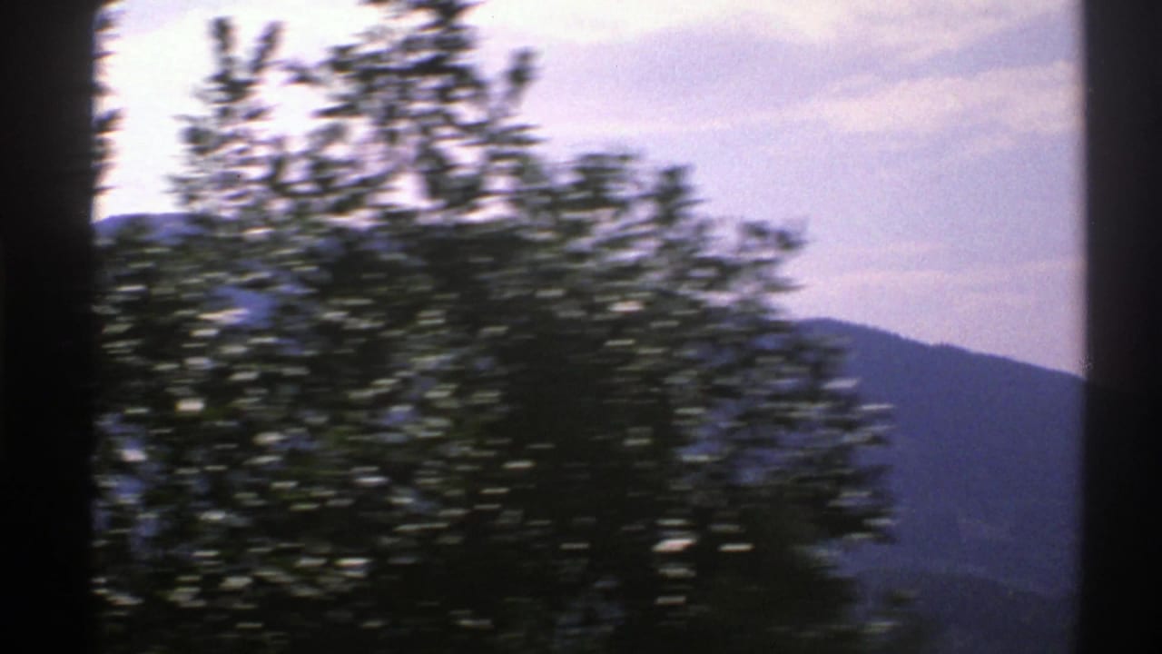 Blurred trees pass in front of distant hills and a bright sky.