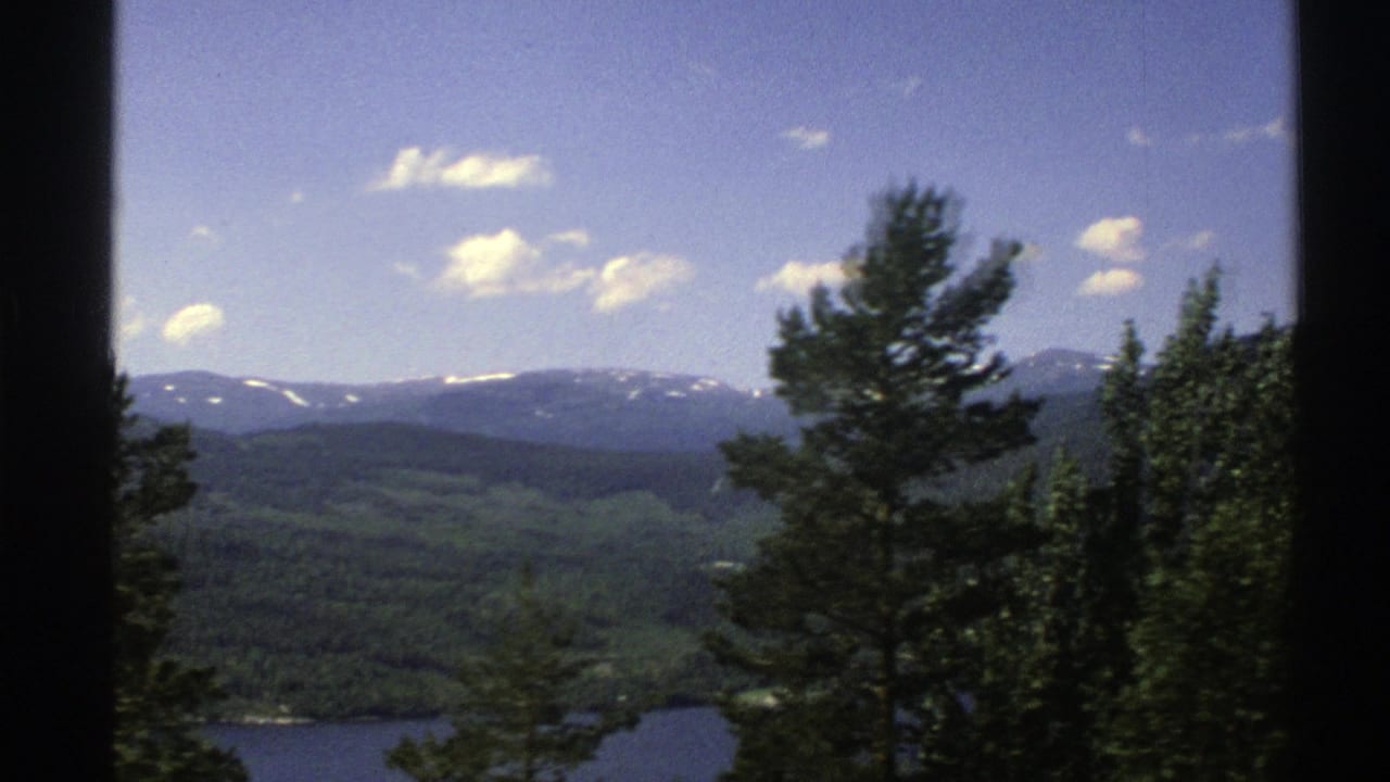 Mountain lake panorama with trees in the foreground and snowy ridges in the distance.