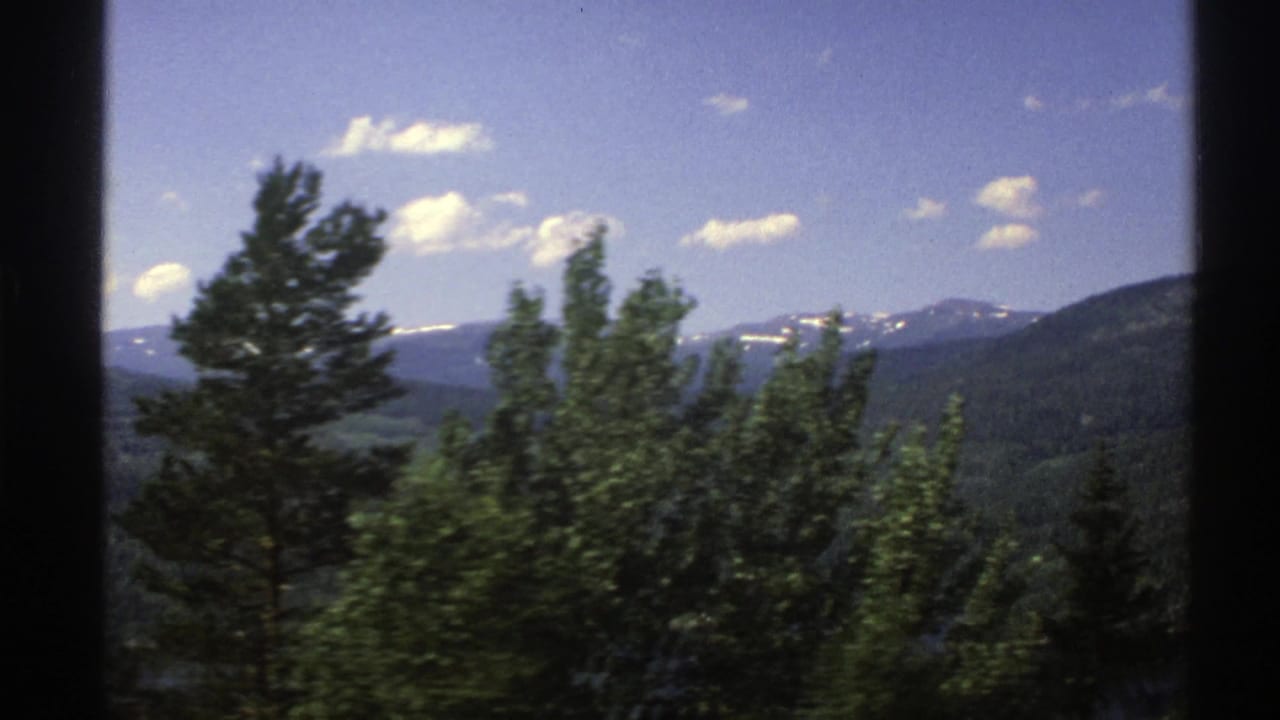 Evergreen and leafy trees before a distant mountain range and blue sky.