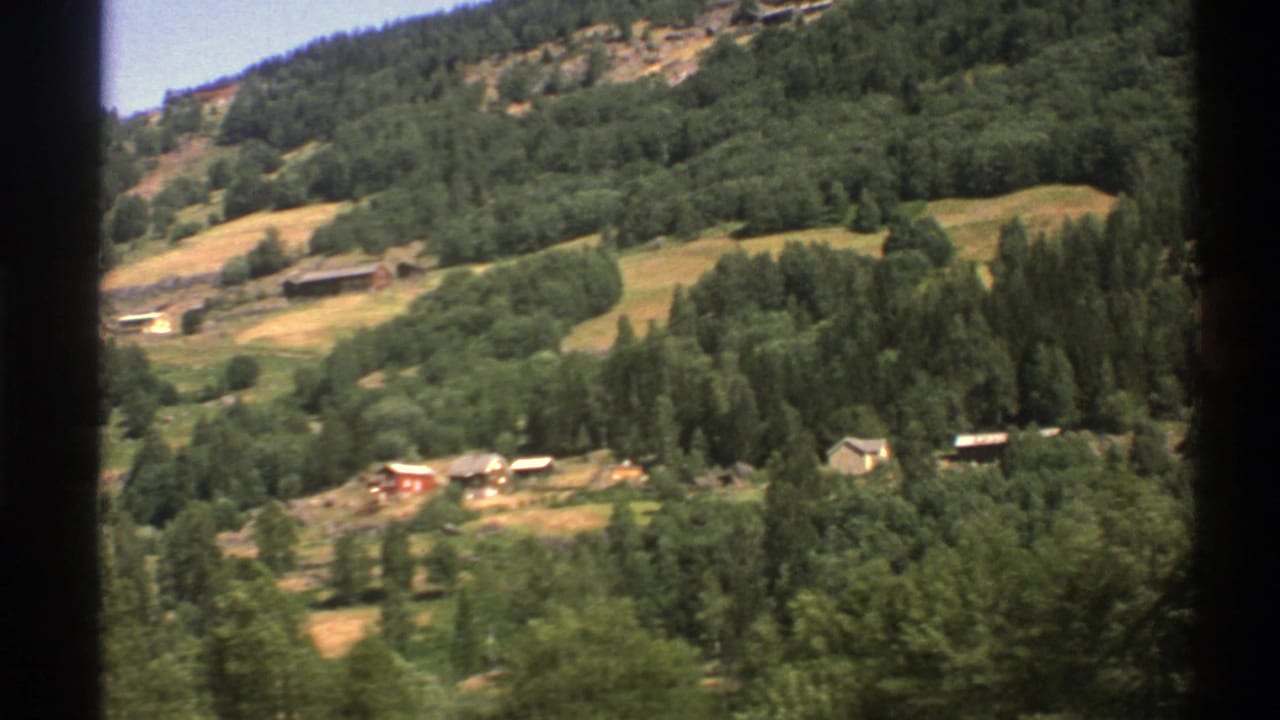 Mountain slope with small buildings, fields, and dense forest under bright daylight.