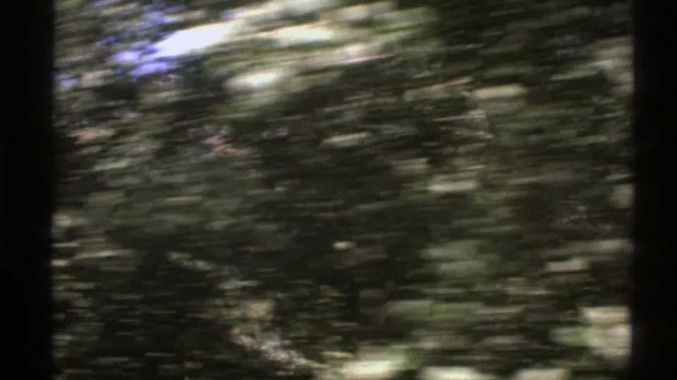 Roadside trees blur past the 8mm camera during a 1976 countryside drive in Norway, with bright patches of sun through foliage.