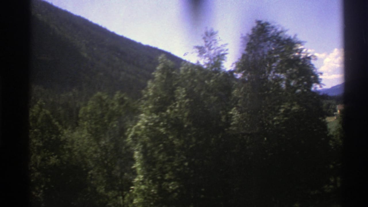 Roadside trees blur in front of a forested hillside and bright sky.