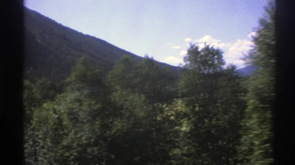 Moving-vehicle view of dense green roadside vegetation with a Norwegian hillside beyond, shot on 8mm in 1976.