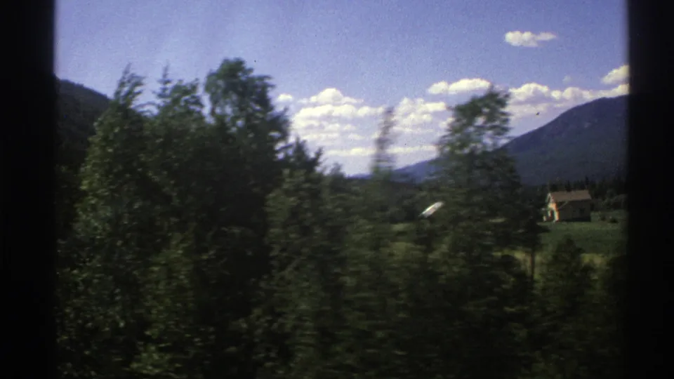 1976 Norway home-movie frame with roadside trees passing close to camera and a rural mountain valley beyond.
