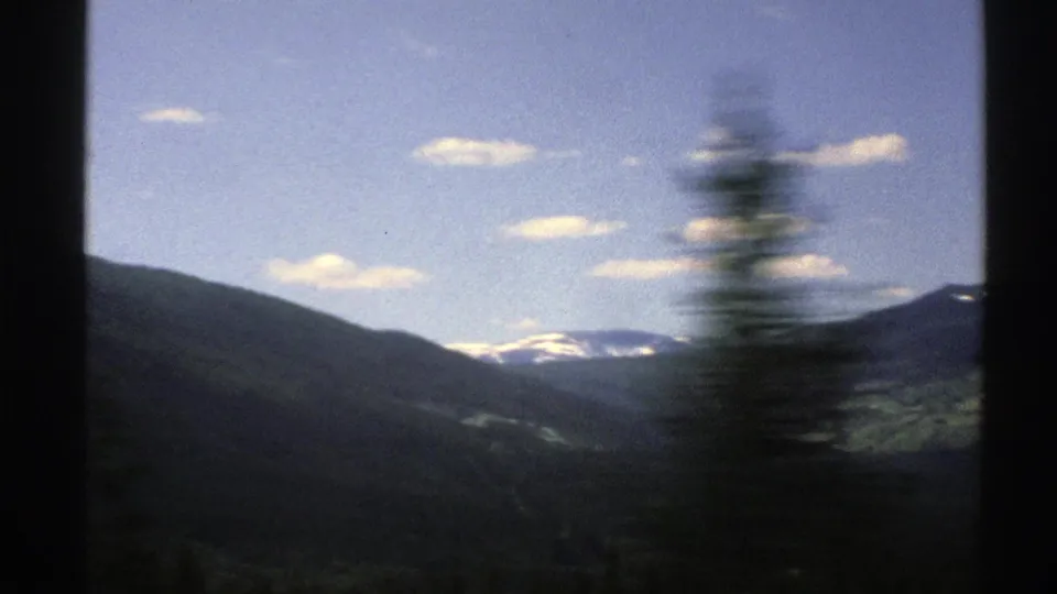 A moving-car view in Norway, with a blurred pine crossing the frame before distant mountains and scattered clouds.