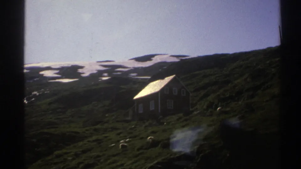 1976 Norway 8mm frame showing a small hillside cottage with sheep grazing in the foreground and snow patches beyond.