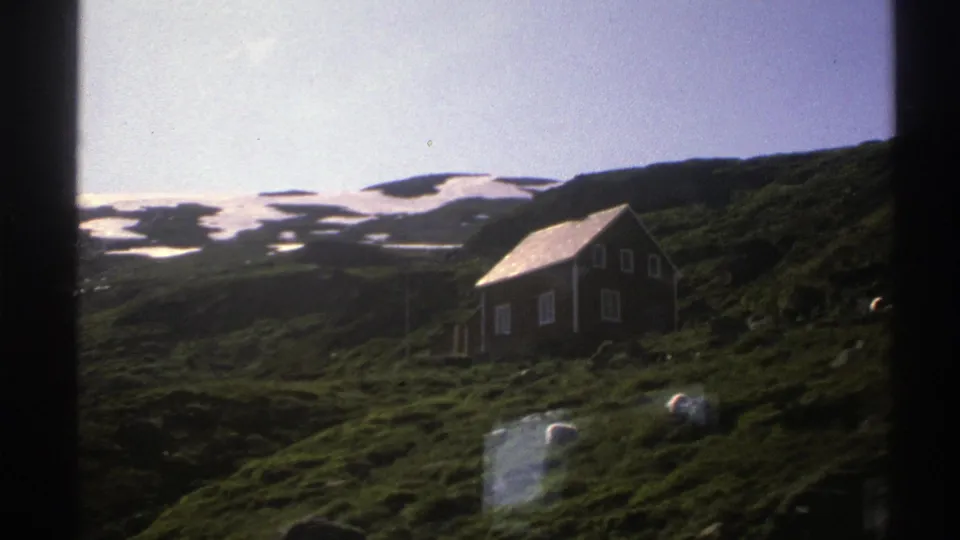1976 Norway home-movie frame with a dark cottage, several sheep, green slopes, and distant patches of snow under a pale sky.