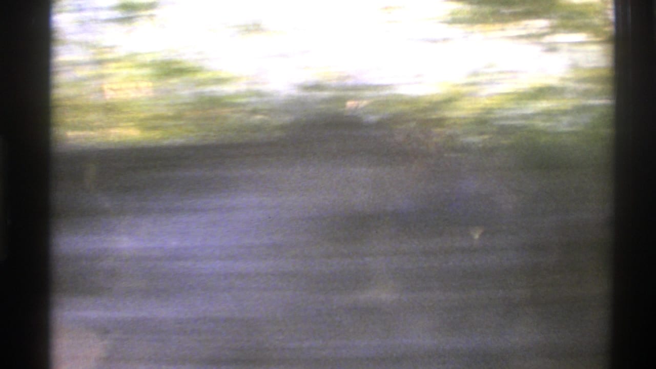 Norway 1976 8mm frame with a blurred lakeside view partly blocked by dark tree trunks and foliage.