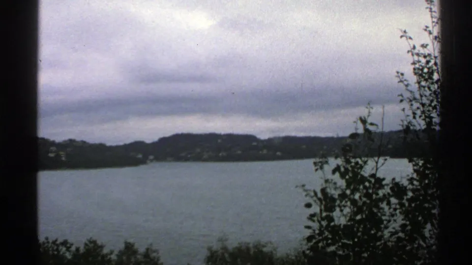 1976 Norway 8mm frame of an overcast lake landscape, with foreground shrubs and a dark tree trunk framing distant hills.