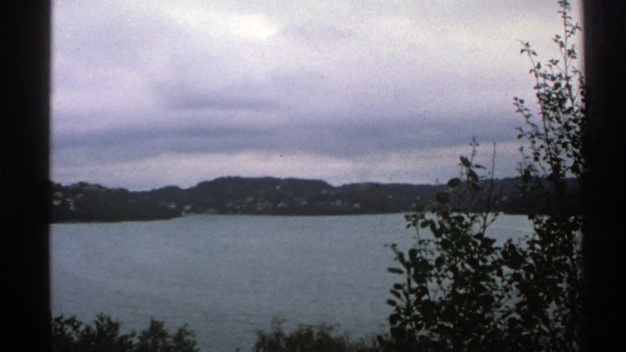 Still lake view with far hills, scattered houses, tree branches, and cloudy sky.