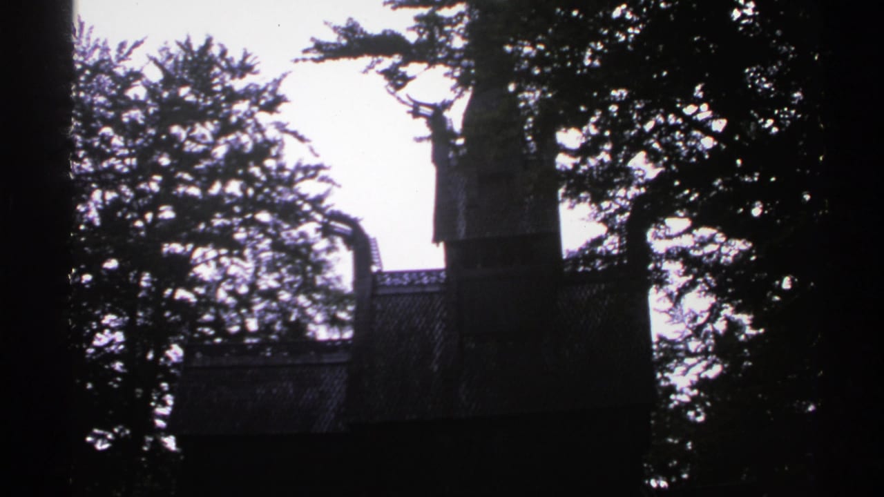 Silhouetted building and tall trees against a bright sky.