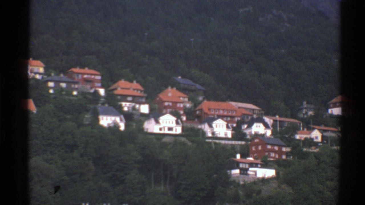 Hillside houses with red roofs among dense trees.
