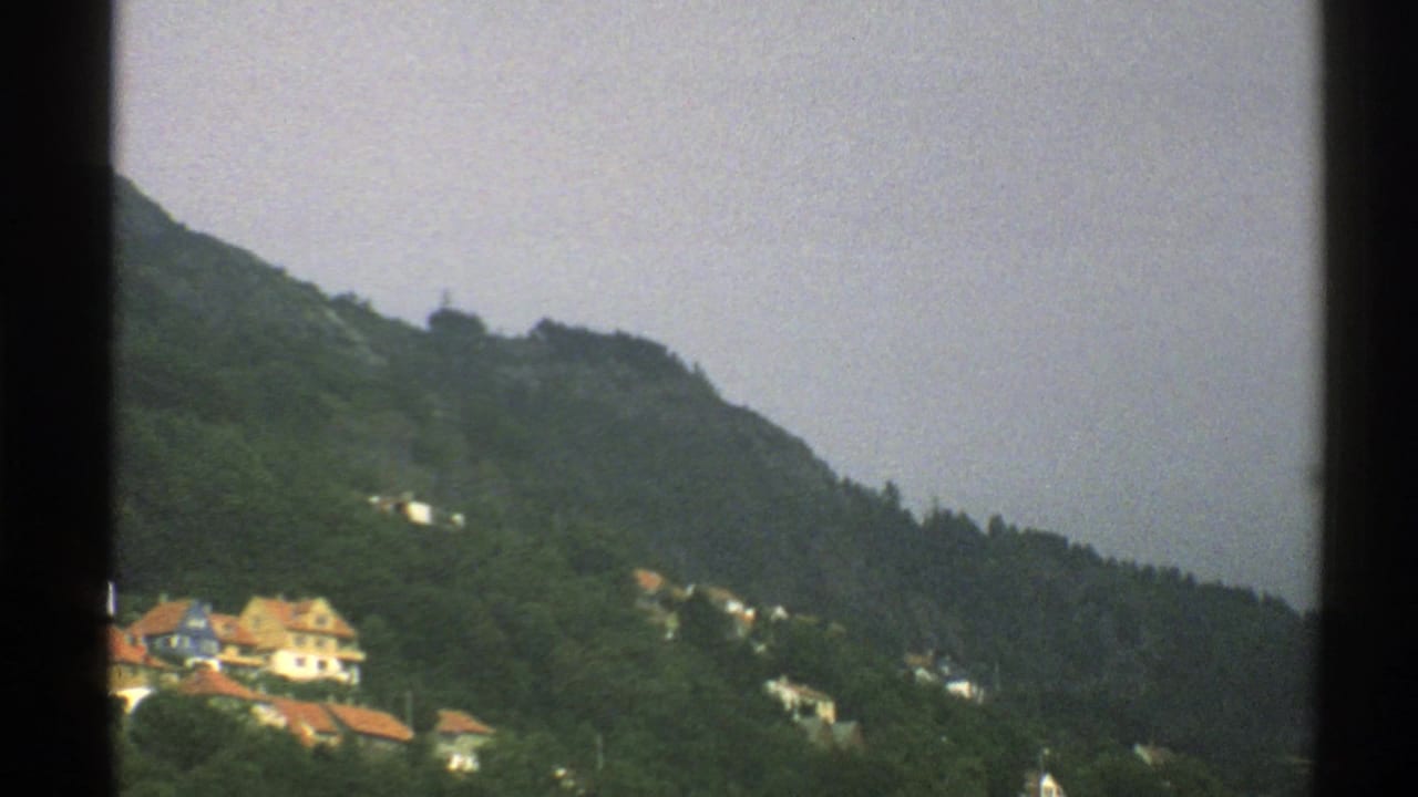 Distant hillside houses below a forested slope and grey sky.