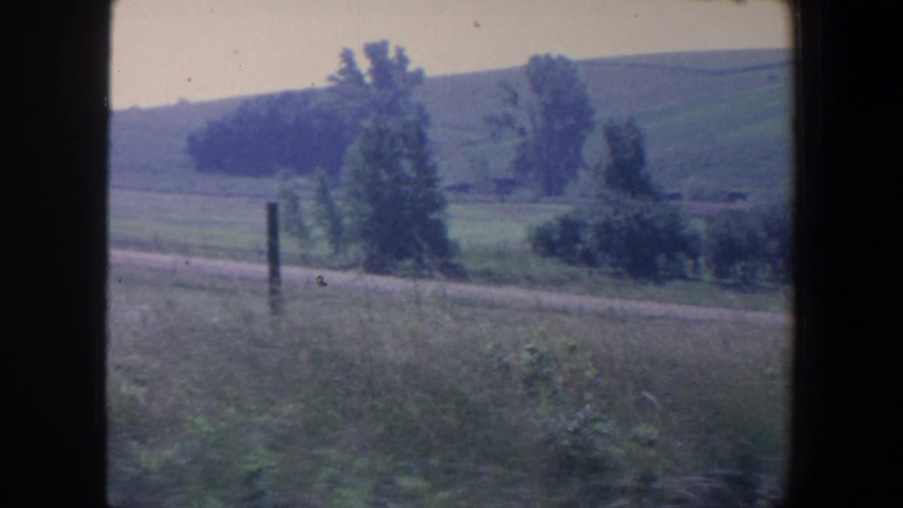1959 Iowa rural landscape with green hills, scattered trees, roadside grass, and a dirt or gravel road in soft 8mm color.