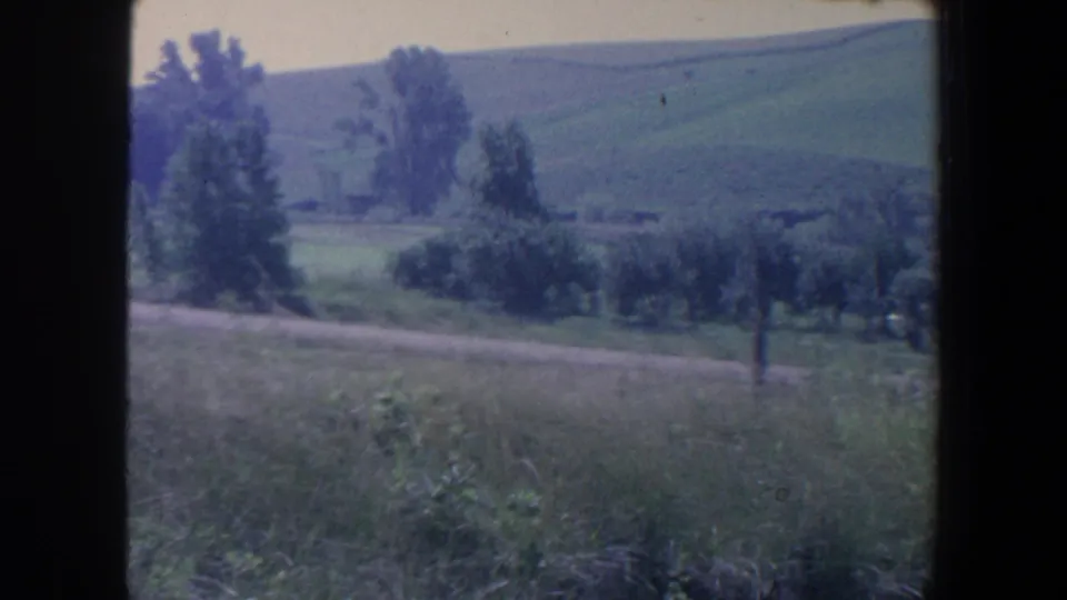1959 Iowa countryside view with roadside grass, fence posts, trees, and broad green hills under a pale sky.