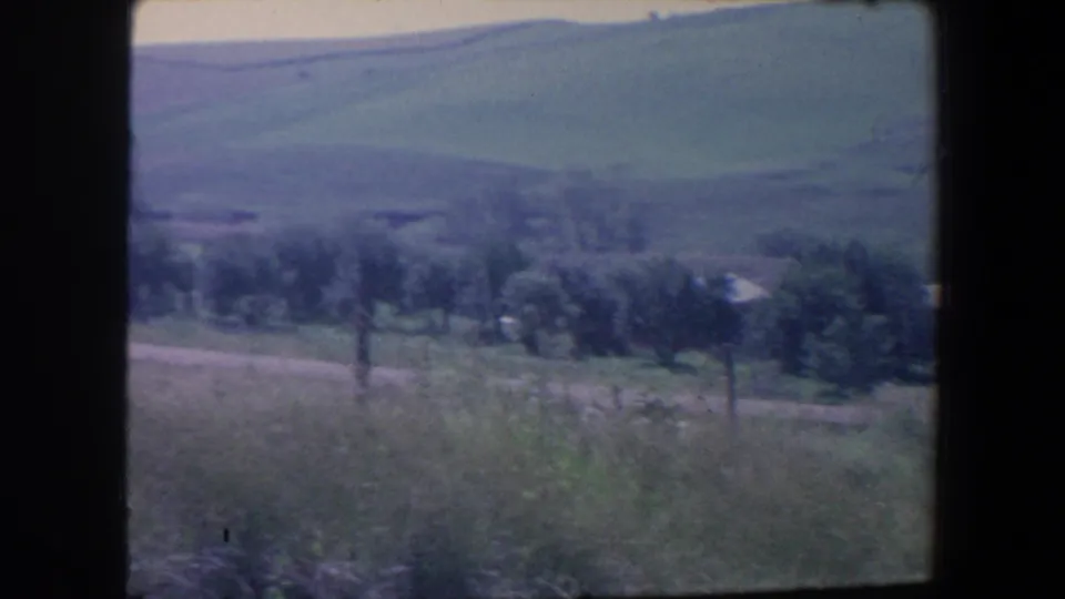 1959 Iowa rural view showing an open grassy foreground, a road, clustered trees, and distant farm structures near rolling hills.